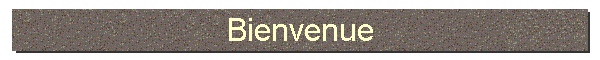 Bienvenue